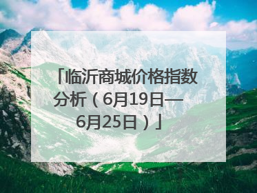 临沂商城价格指数分析（6月19日—6月25日）