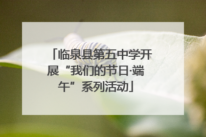 临泉县第五中学开展“我们的节日·端午”系列活动