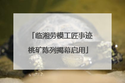 临湘劳模工匠事迹桃矿陈列揭幕启用