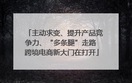 主动求变、提升产品竞争力、“多条腿”走路 跨境电商新大门在打开