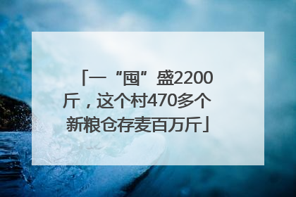 一“囤”盛2200斤，这个村470多个新粮仓存麦百万斤