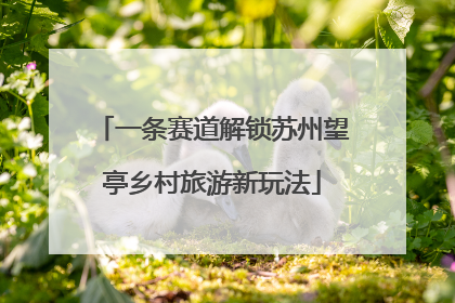 一条赛道解锁苏州望亭乡村旅游新玩法
