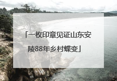 一枚印章见证山东安陵88年乡村蝶变