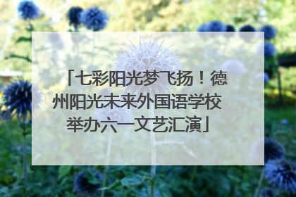七彩阳光梦飞扬！德州阳光未来外国语学校举办六一文艺汇演