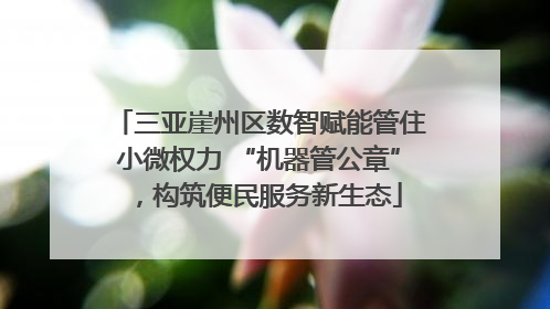 三亚崖州区数智赋能管住小微权力 “机器管公章”，构筑便民服务新生态