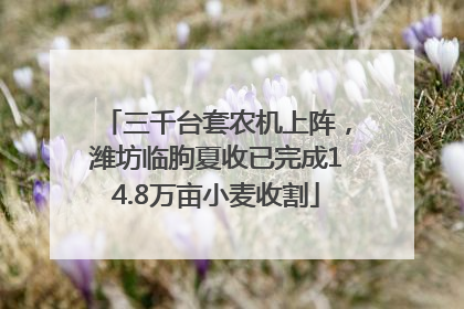三千台套农机上阵，潍坊临朐夏收已完成14.8万亩小麦收割