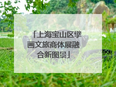 上海宝山区擘画文旅商体展融合新图景