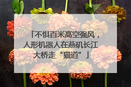 不惧百米高空强风，人形机器人在燕矶长江大桥走“猫道”