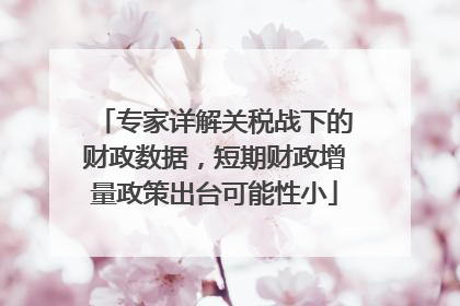 专家详解关税战下的财政数据，短期财政增量政策出台可能性小