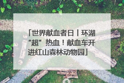 世界献血者日丨环湖“超”热血！献血车开进红山森林动物园