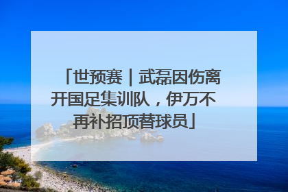 世预赛｜武磊因伤离开国足集训队，伊万不再补招顶替球员