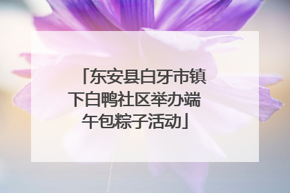 东安县白牙市镇下白鸭社区举办端午包粽子活动
