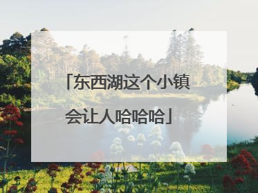 东西湖这个小镇会让人哈哈哈