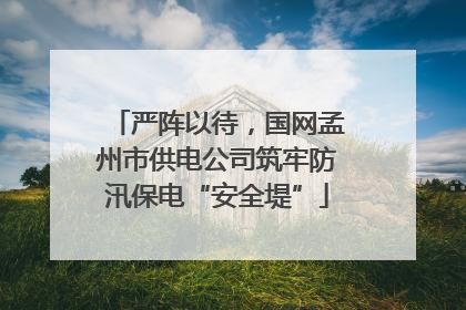严阵以待，国网孟州市供电公司筑牢防汛保电“安全堤”