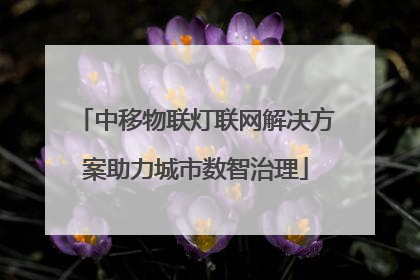中移物联灯联网解决方案助力城市数智治理