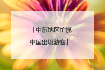 中东地区忙揽中国出境游客