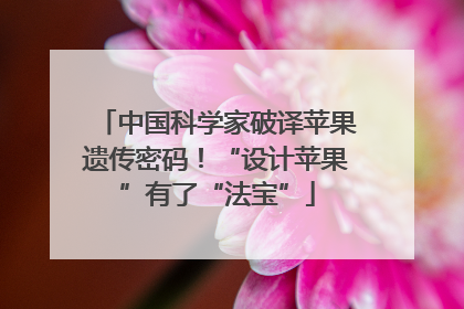 中国科学家破译苹果遗传密码！“设计苹果”有了“法宝”