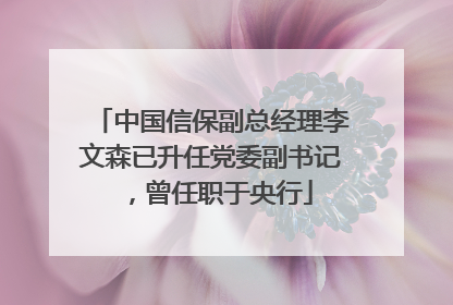 中国信保副总经理李文森已升任党委副书记，曾任职于央行