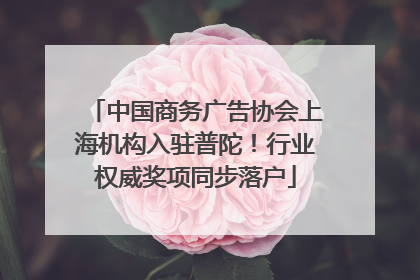 中国商务广告协会上海机构入驻普陀！行业权威奖项同步落户