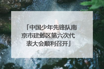 中国少年先锋队南京市建邺区第六次代表大会顺利召开