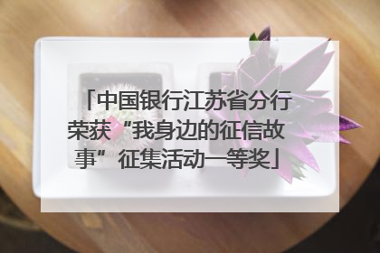 中国银行江苏省分行荣获“我身边的征信故事”征集活动一等奖