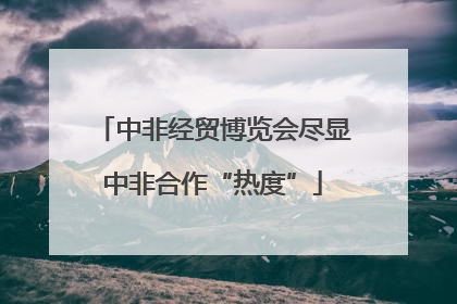 中非经贸博览会尽显中非合作“热度”
