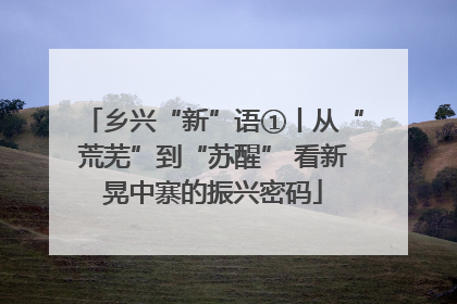 乡兴“新”语①丨从“荒芜”到“苏醒” 看新晃中寨的振兴密码