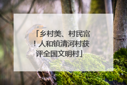 乡村美、村民富！人和镇清河村获评全国文明村