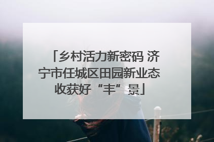乡村活力新密码 济宁市任城区田园新业态收获好“丰”景