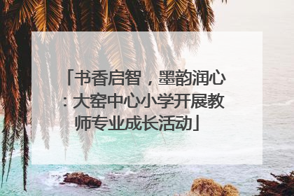 书香启智，墨韵润心：大窑中心小学开展教师专业成长活动