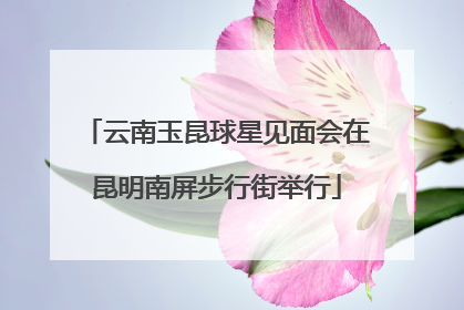 云南玉昆球星见面会在昆明南屏步行街举行