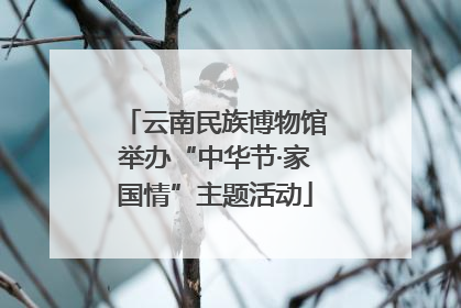 云南民族博物馆举办“中华节·家国情”主题活动
