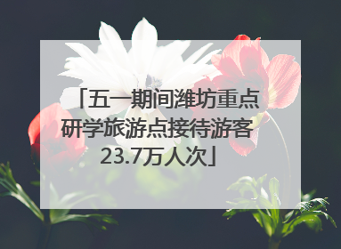 五一期间潍坊重点研学旅游点接待游客23.7万人次