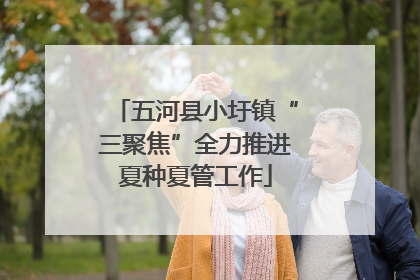 五河县小圩镇“三聚焦”全力推进夏种夏管工作