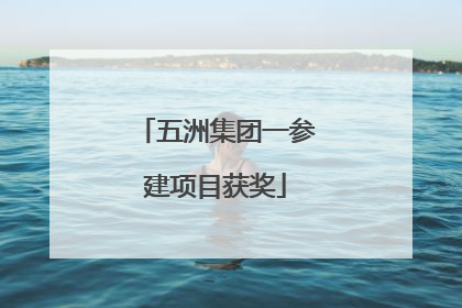 五洲集团一参建项目获奖
