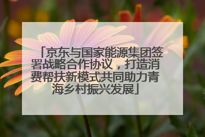 京东与国家能源集团签署战略合作协议，打造消费帮扶新模式共同助力青海乡村振兴发展