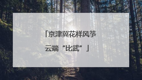 京津冀花样风筝云端“比武”