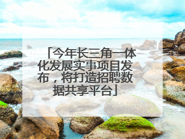 今年长三角一体化发展实事项目发布，将打造招聘数据共享平台