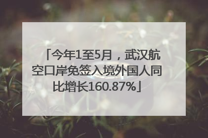 今年1至5月，武汉航空口岸免签入境外国人同比增长160.87%