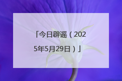 今日辟谣（2025年5月29日）