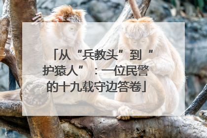 从“兵教头”到“护猿人”：一位民警的十九载守边答卷