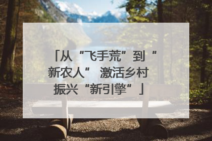 从“飞手荒”到“新农人” 激活乡村振兴“新引擎”