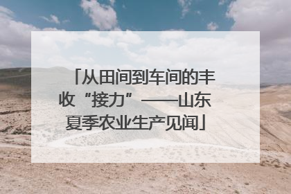 从田间到车间的丰收“接力”——山东夏季农业生产见闻