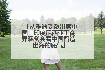 从雅迪受邀出席中国－印度尼西亚工商界晚餐会看中国智造出海的底气