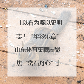 以石为鉴以史明志！“华彩乐章”山东体育集藏展聚焦“岱石丹心”