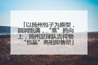 以扬州包子为原型，圆润饱满，“蒸”腾向上，扬州足球队吉祥物“包赢”亮相即售罄