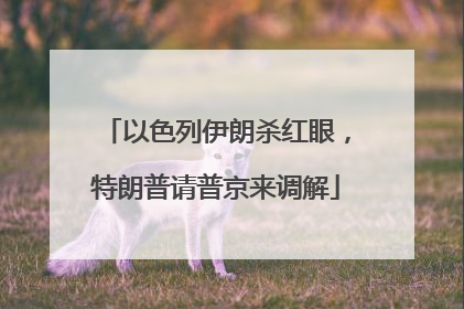 以色列伊朗杀红眼，特朗普请普京来调解