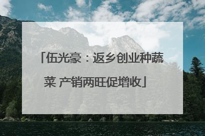 伍光豪：返乡创业种蔬菜 产销两旺促增收