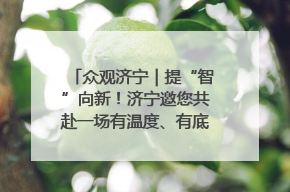 众观济宁｜提“智”向新！济宁邀您共赴一场有温度、有底气的“智造”之约