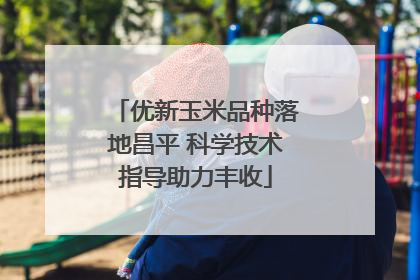 优新玉米品种落地昌平 科学技术指导助力丰收